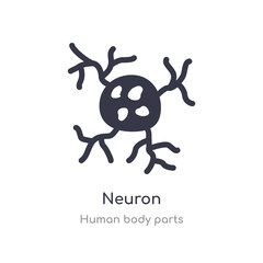 neuron outline icon. isolated line vector illustration from human body parts collection. editable thin stroke neuron icon on white background