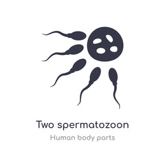 two spermatozoon outline icon. isolated line vector illustration from human body parts collection. editable thin stroke two spermatozoon icon on white background