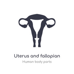 uterus and fallopian tube outline icon. isolated line vector illustration from human body parts collection. editable thin stroke uterus and fallopian tube icon on white background