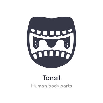 tonsil outline icon. isolated line vector illustration from human body parts collection. editable thin stroke tonsil icon on white background