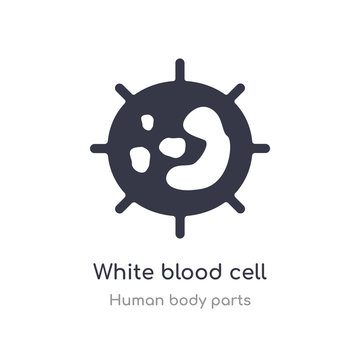 White Blood Cell Outline Icon. Isolated Line Vector Illustration From Human Body Parts Collection. Editable Thin Stroke White Blood Cell Icon On White Background