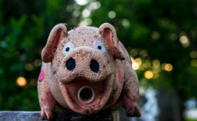 toy pig