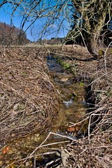 Clean spring water stream