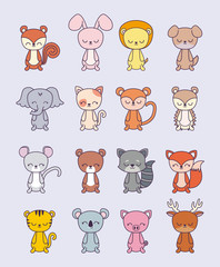 cute porcupine with group animals