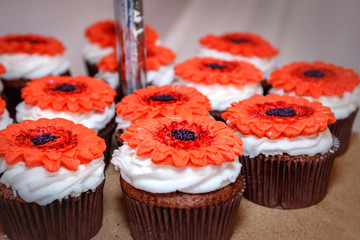 A Large Orange Gumpaste Barberton daisy on a cupcake