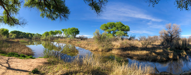 A panoramic view of a wet oasis in the desert seen on a sunny spring day