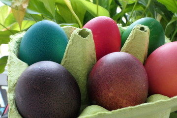 Easter Eggs painted in various Colors in a Paper Egg Holder
