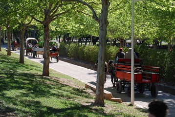 Horse Carriages in San Vicente Lliria Park, Spain