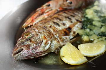 Langoustines grilled and red mullet,  sea bass grilled with lemon, potato and Mangel with olive oil.