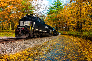 Autumn Train Through The Park