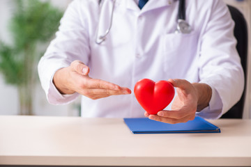 Male doctor cardiologist holding heart model 
