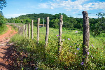 Wooden rustic fence and countryside road in Oeiras, Piaui state, Brazil - Sertao landscape