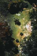 Beautiful vertical aerial view of a bright green summer glade with lawn, different bushes, small paths, framed by coniferous trees casting shadows, Lisbon, Portugal