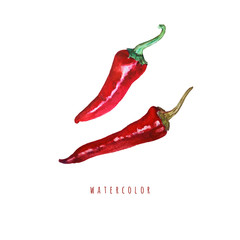 Red hot peppers. Hand drawn watercolor illustration isolated on white background.