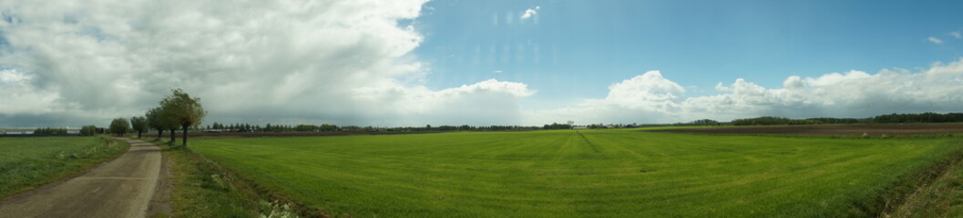summer landscape with road and clouds