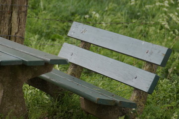 Naklejka premium wooden bench in the park