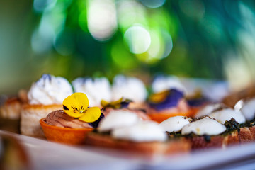 Beautifuly designed appetizer plate close-up