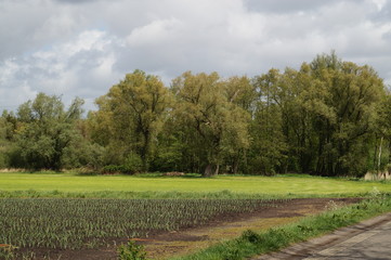 rural road in the countryside