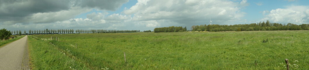 Obraz premium green field and blue sky