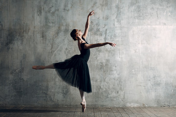 Obraz na płótnie Canvas Ballerina female. Young beautiful woman ballet dancer, arabesque.