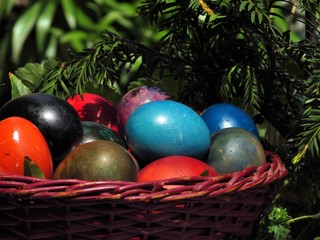 Color Easter eggs