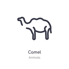 camel outline icon. isolated line vector illustration from animals collection. editable thin stroke camel icon on white background