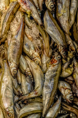 Sardine Fish Background