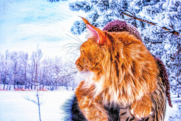 Fototapety na wymiar - Fototapeta24.pl