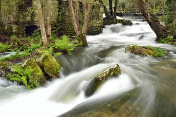 water movement, brook ,  mountain stream