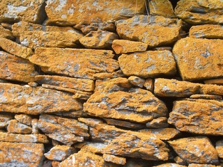 Muro a secco con licheni