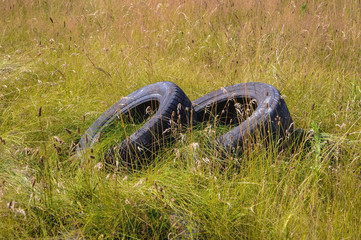 Old tires dumped on a meadow in Mazovia region of Poland