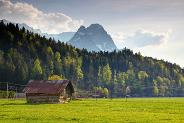 Obraz premium Bavarian rural landscape with Zugspitzmassiv towering above forest and typical wooden barn in sunny meadow in spring, Wetterstein Northern Limestone Alps Garmisch Partenkirchen Bayern Germany Europe