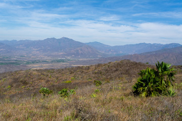 cerro de la vieja