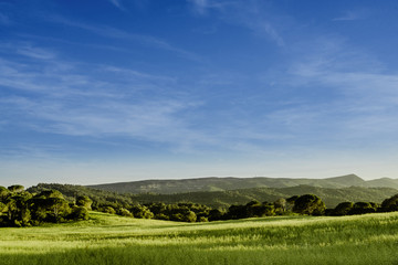 Fototapeta na wymiar montanhas verdes com céu azul - paisagem do windows