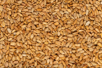 Sunflower Seeds Texture