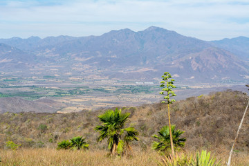 cerro de la vieja