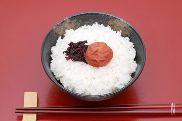 ご飯　梅干し