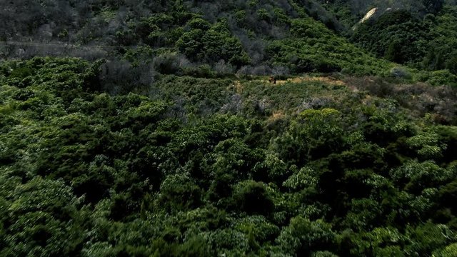 Obrazy (Hilltop) — zdjęcia, wektory i wideo bez tantiem (68,032