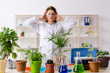 Old female biotechnology chemist working in the lab 