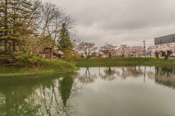 春の新庄城跡の風景