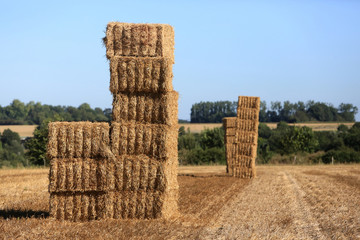 Ballots de paille. Coulommes. / Straw bales. Coulommes.