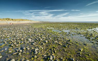 Ynyslas National Nature Reserve