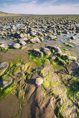 Ynyslas National Nature Reserve
