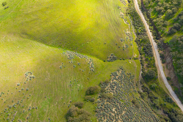 Aerial plush green rolling hill landscape