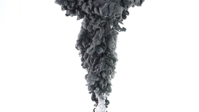 Black Ink flowing in water on white background