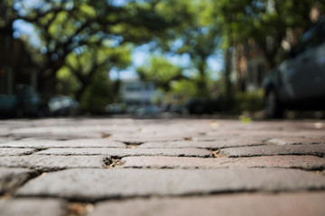 Cobbleston Steps of Historic Downtown Savannah, Georgia from a Low Street View