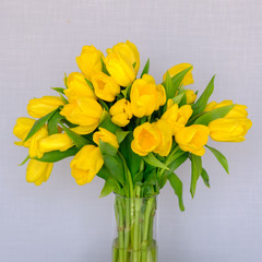 yellow tulips in a jug