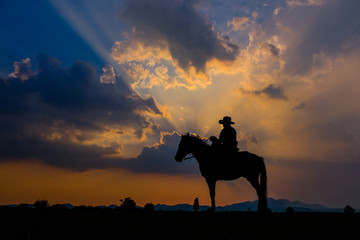 A man in a cowboy outfit with his horse - 264880199