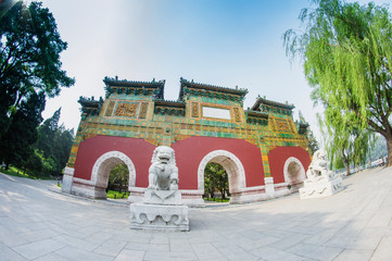 The Palace Museum in the Forbidden