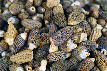 Fresh morel mushrooms at a farmers market in spring